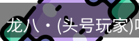 龙八·(头号玩家)唯一官方网站